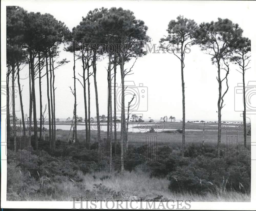 Press Photo Gulf Islands, Mississippi - abna18527 - Historic Images