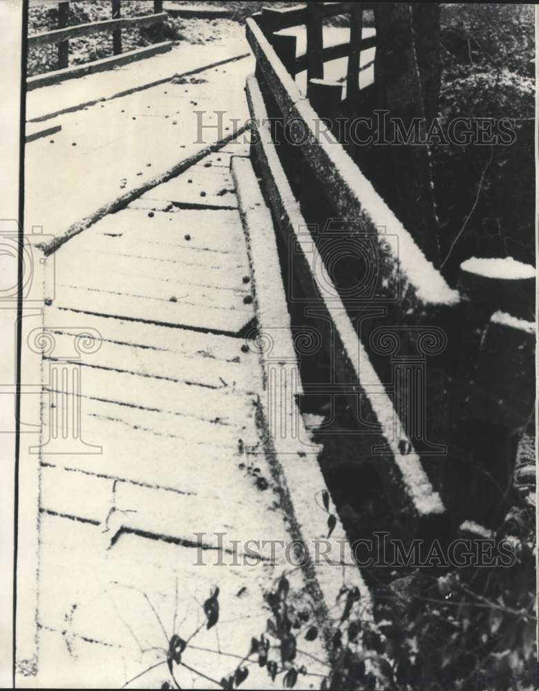 1978 Press Photo Snow on a walkway in Alabama - abna18579 - Historic Images