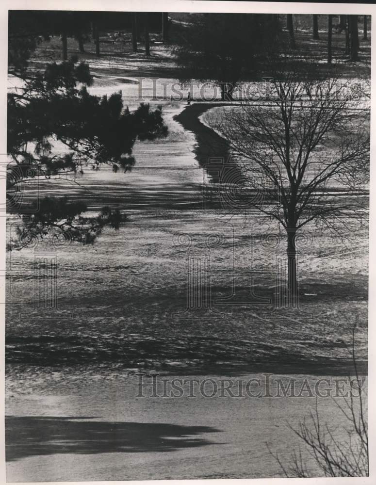 1985 Press Photo Frigid Air Brought Snow to Woodward Country Club in Bessemer - Historic Images