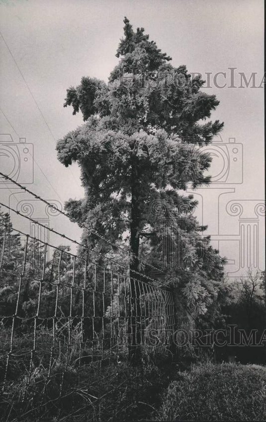 1985 Press Photo Coating of Ice at Highway 280 Rest Stop on Oak Mountain - Historic Images