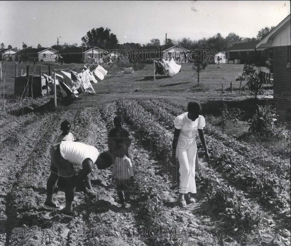 1975 Press Photo Murphy family in their garden, Hayneville, Alabama - abna18710 - Historic Images