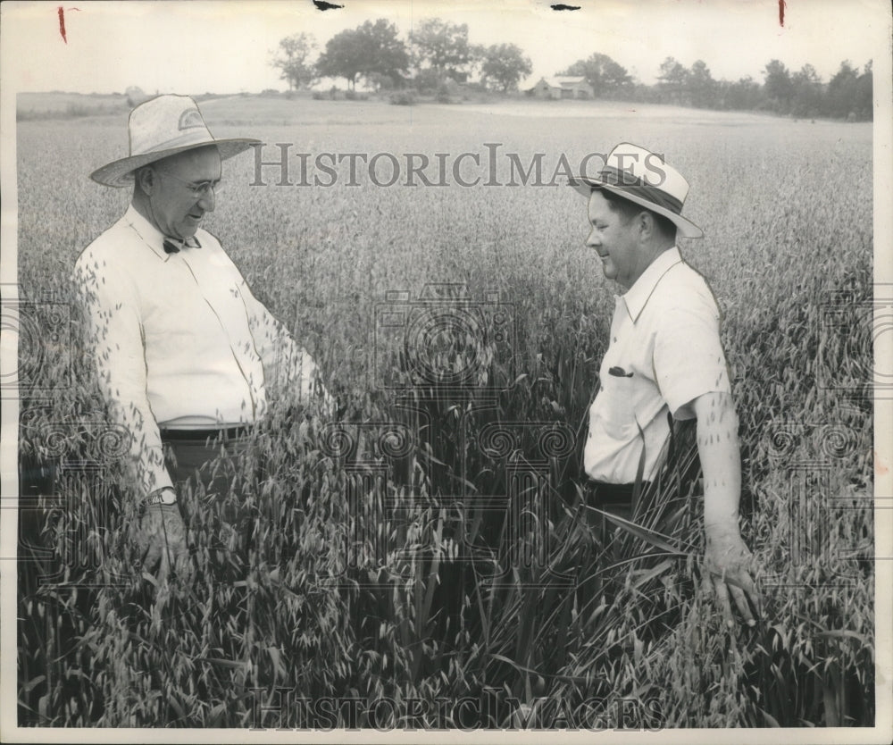 1953 Press Photo James Jones &amp; J.J. Young evaluate the crop in Cherokee, Alabama - Historic Images