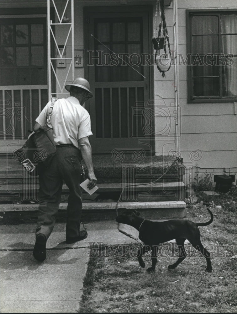 1980, Lee Zito, postman, is watched by the dog as he delivers mail - Historic Images