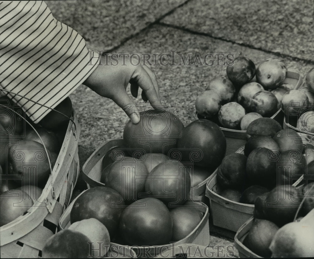 1978 Birmingham, Alabama - Farm Market Day - Customer Feels Produce - Historic Images