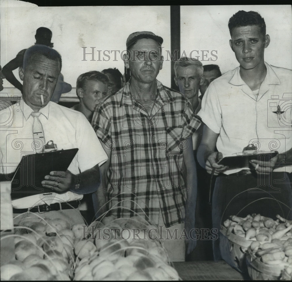 1958 Blount County Farm Inspectors - Historic Images