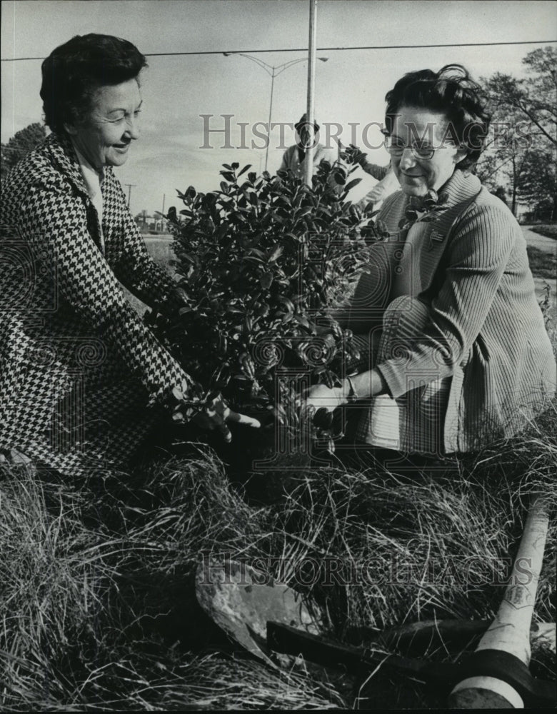 1975 Press Photo Mrs. Delorem &amp; Ms. Beavert plant shrub for Beautifcation Board - Historic Images