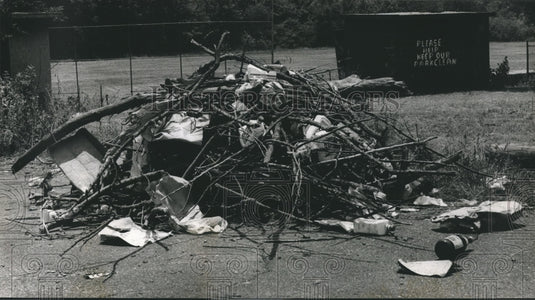 1988, Brighton Park Trash Heap with Branches and Debris - abna22582 - Historic Images