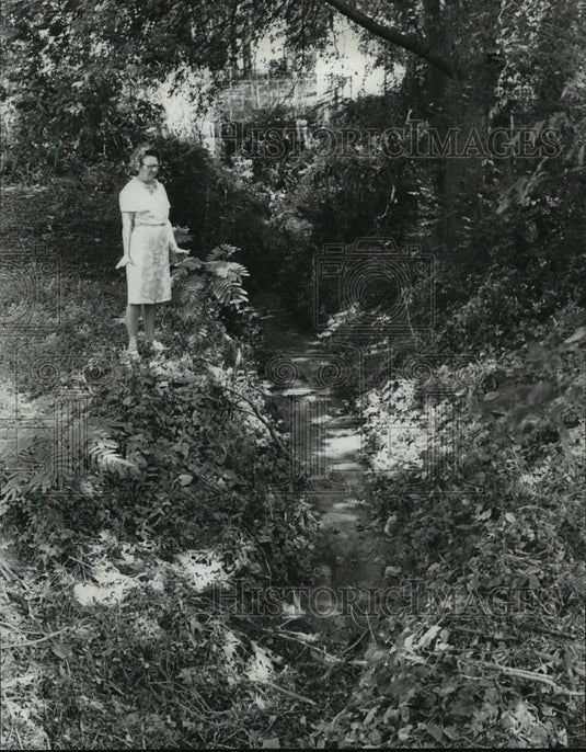 1977, Mrs. O'Herron Shows Ditch Behind House that now Floods Homes - Historic Images