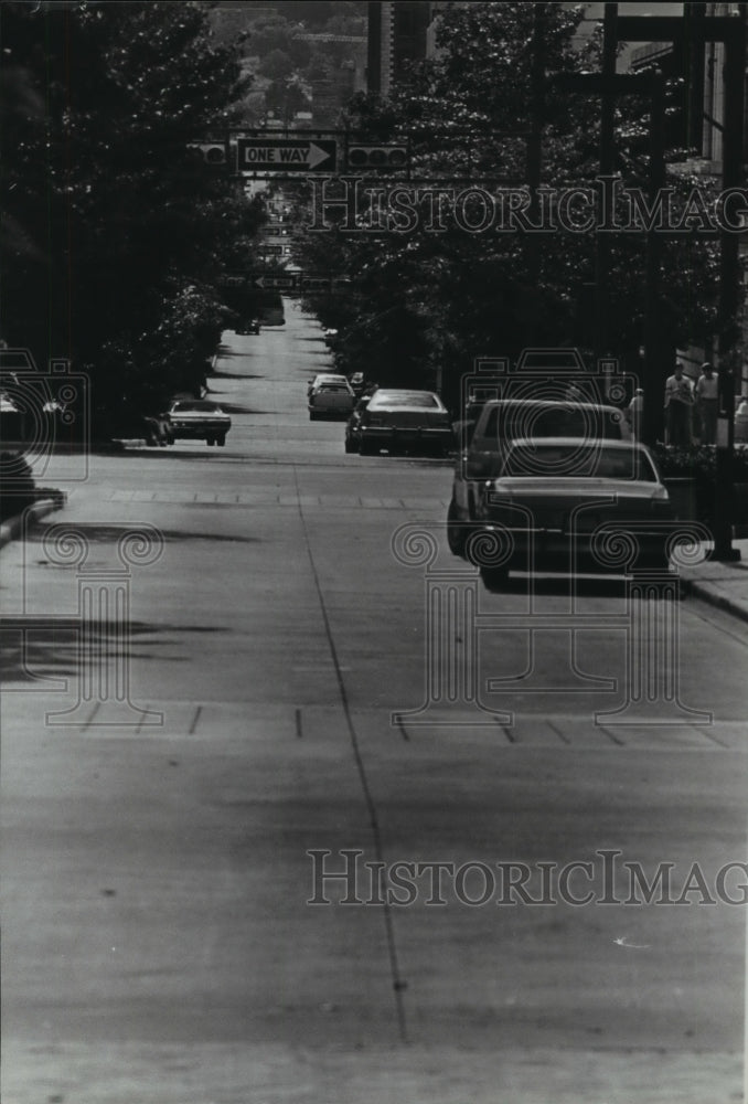 1993 Press Photo View along the Birmingham Green, Alabama - abna24306 - Historic Images