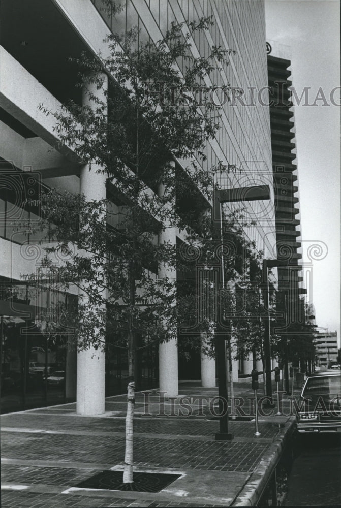 1982, Birmingham, Alabama Building: Park Place Tower - abna25052 - Historic Images