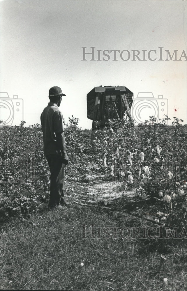 1982, Harvester in Farm field at Dallas-Lowndes County Line, Worker - Historic Images