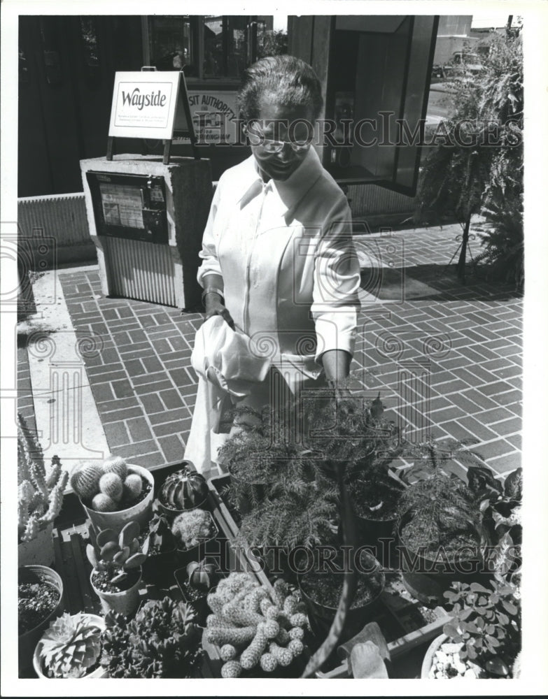 1980, plants &amp; attendant at Birmingham&#39;s &quot;C&#39;mon Down&quot; celebration, AL - Historic Images