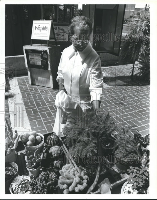 1980, plants & attendant at Birmingham's "C'mon Down" celebration, AL - Historic Images