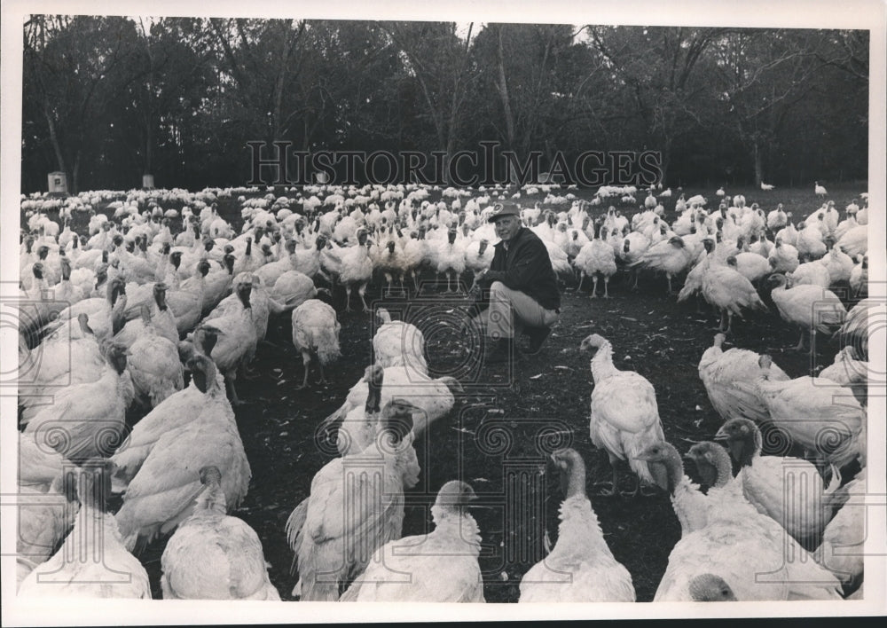 1989 Bill Bates and Turkeys, Birds - Historic Images