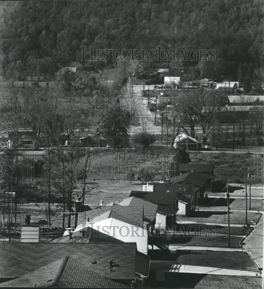 1979 Press Photo Pinson Valley Homes and Businesses in Pinson, Alabama - Historic Images