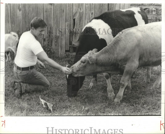1980, Leon J. Davis Hand-feeding beefalo heifer, Alabama - abna27272 - Historic Images