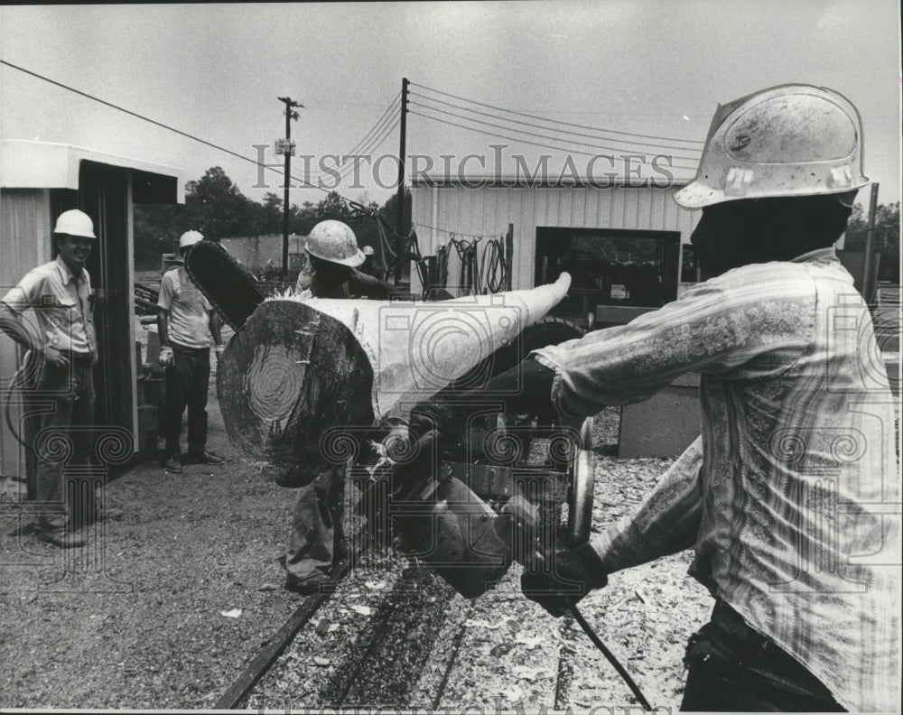1978 cutting utility pole, Koppers Company, Elmore County, Alabama - Historic Images