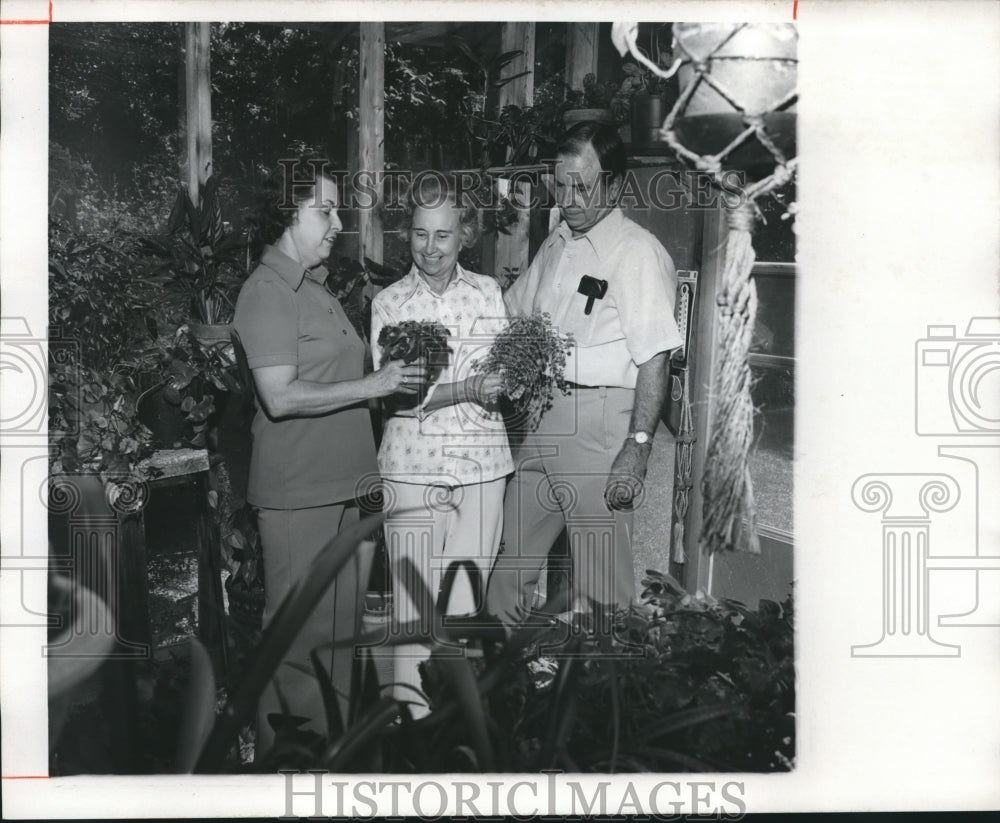 1977, House Plants at Arlington Country Fair with Mrs. Harvey Hooks - Historic Images