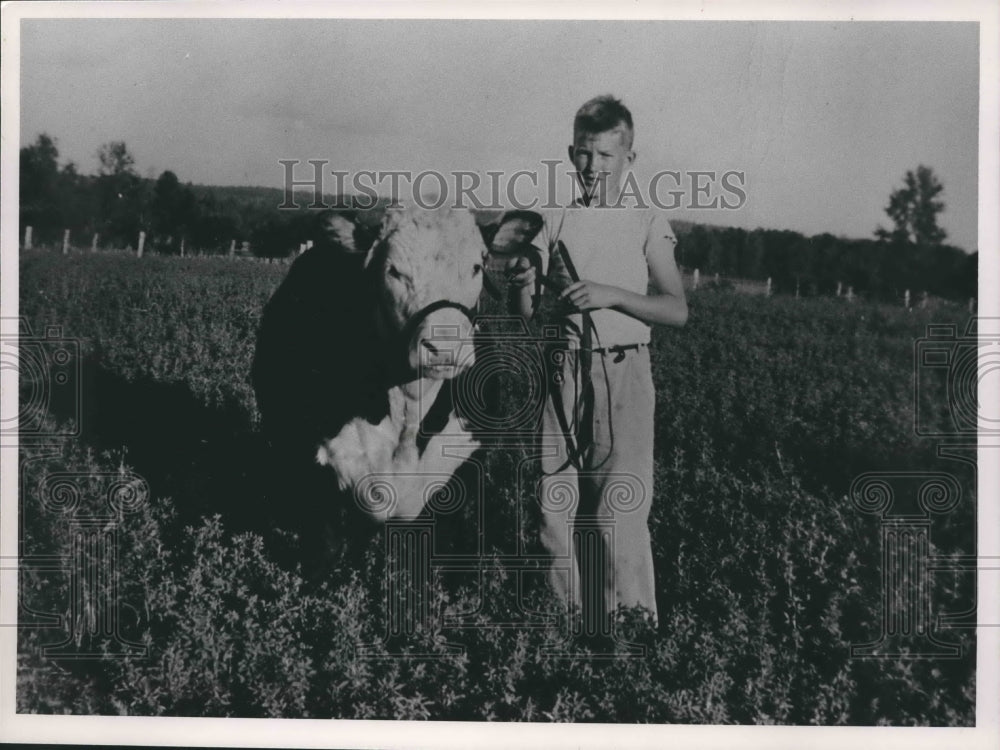 1990, Boy Standing with Cow in Field - abna34000 - Historic Images