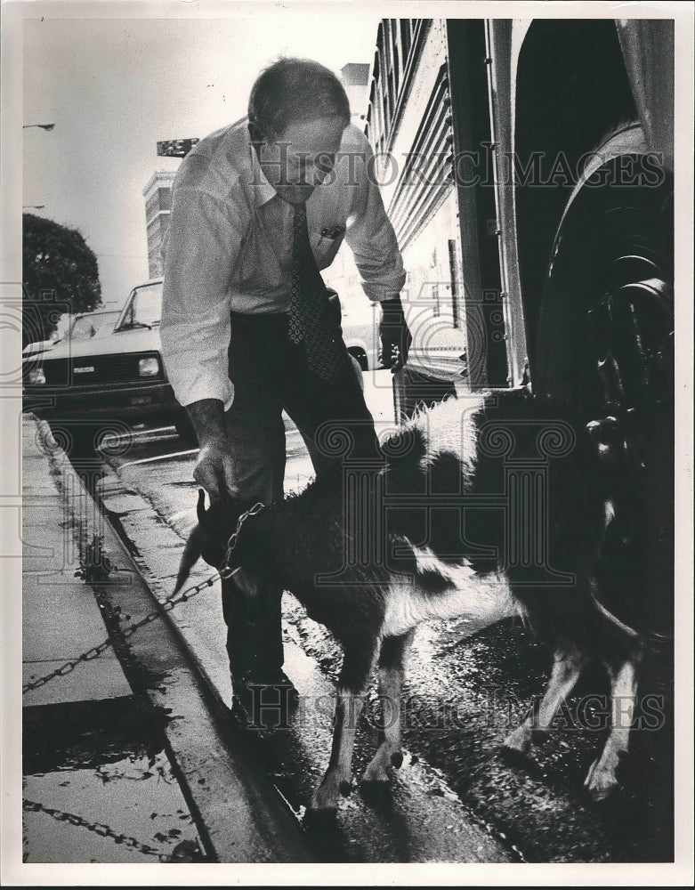 1990 Candidate for Alabama Governor Fob James with Goat - Historic Images