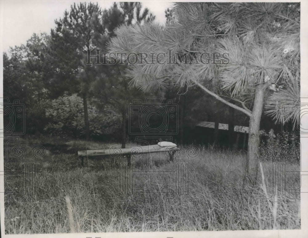 1947 Press Photo Home in wooded area - abna35661 - Historic Images