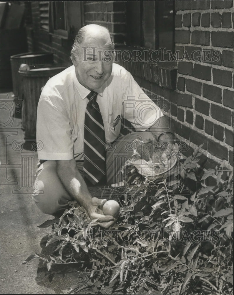 1973 Press Photo Frank Merrill, restaurant owner, shows his fresh tomatoes - Historic Images