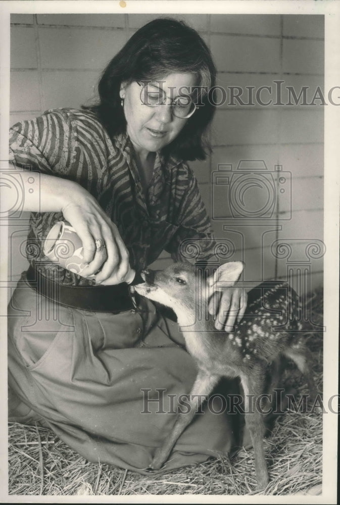 1988, Anne Miller feeds fawn at Alabama Wildlife Rescue Service - Historic Images