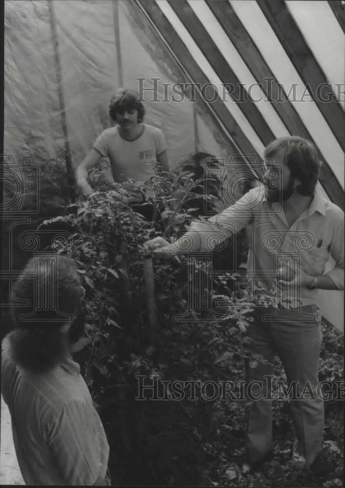 1979, Doctor Ken Lewis, right, in home-built greenhouse, University - Historic Images