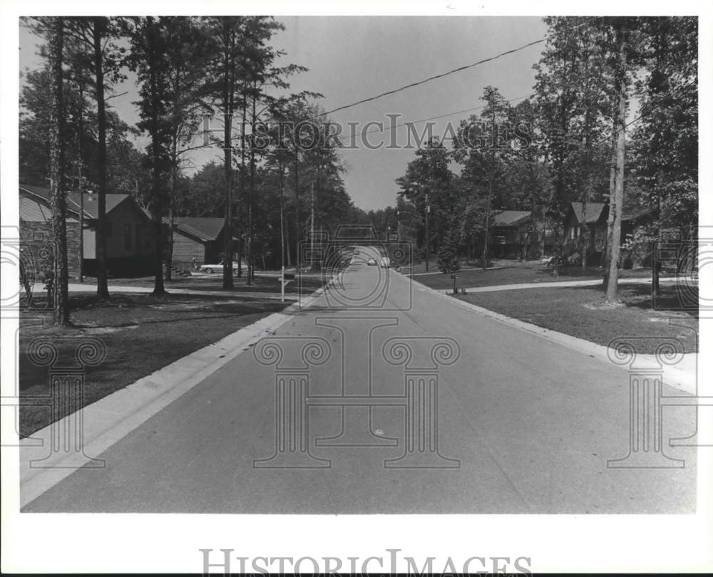 1980 Press Photo 4th Avenue, Pleasant Grove, Alabama - abna37502 - Historic Images