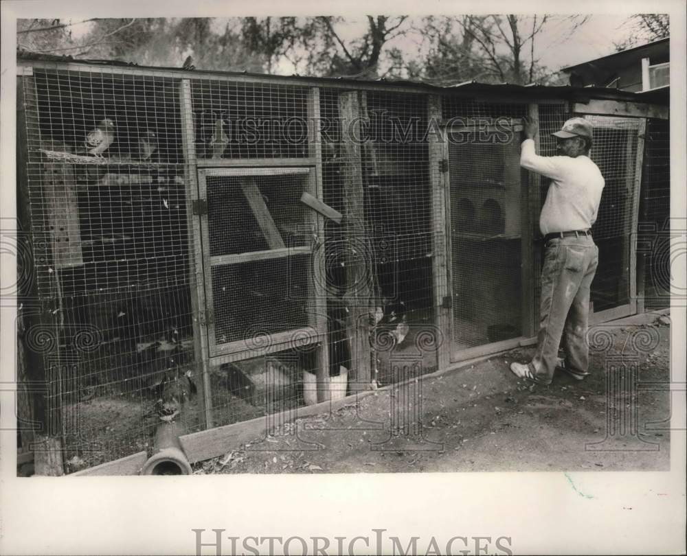 1987 Press Photo Arthur Shelton, Private Zoo Owner, at His Pigeon Coops - Historic Images