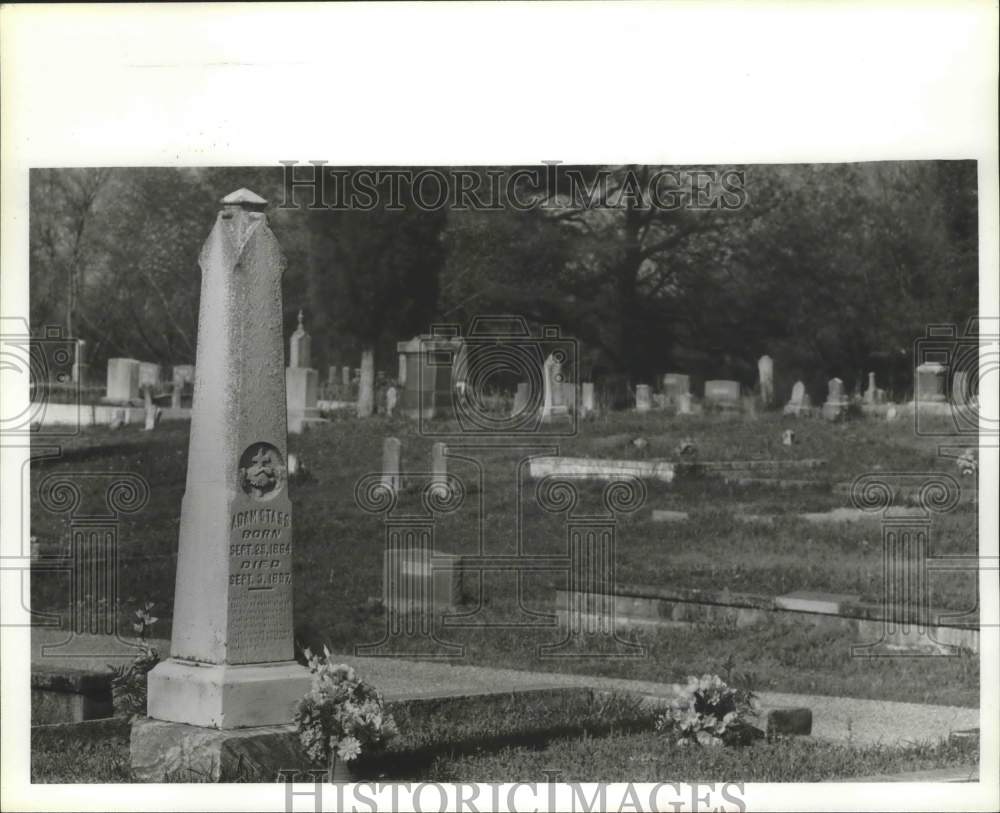 1980 Press Photo Pratt City Alabama cemetery - abna37673 - Historic Images