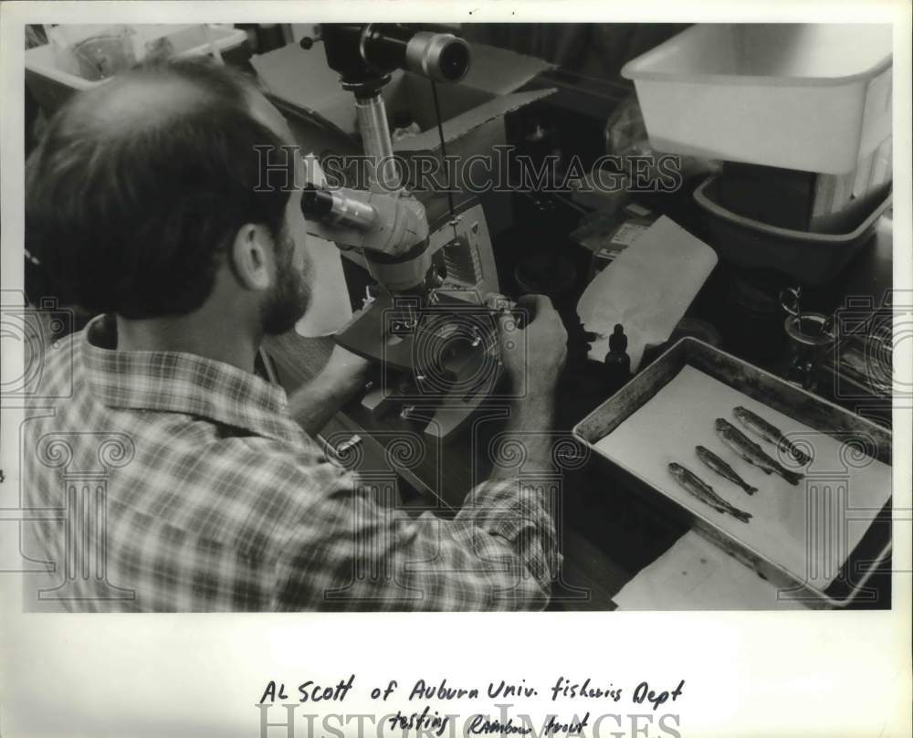 1980 Press Photo Al Scott of Auburn University Alabama looking in microscope - Historic Images