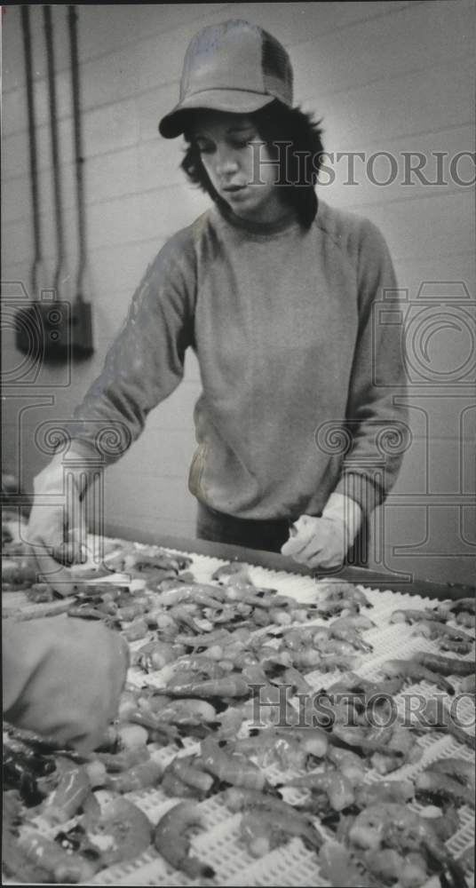 1981 Press Photo Young man sorting shrimp - abna38115 - Historic Images