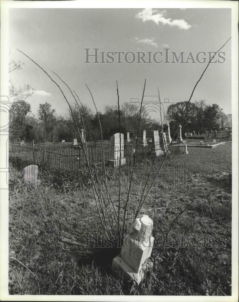 1980 Press Photo Pratt City Alabama fraternal cemetery - abna38352 - Historic Images