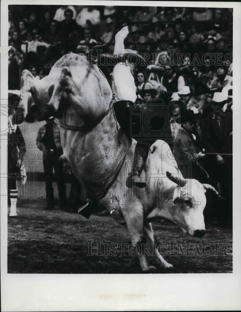 1981 Bullriding at the Jubilee Pro Rodeo, Alabama - Historic Images