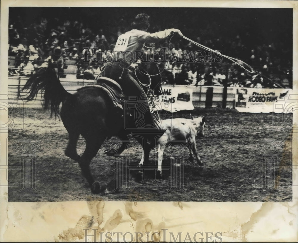 1980 Annual Pro Rodeo Rider roping calf at Birmingham, Alabama - Historic Images