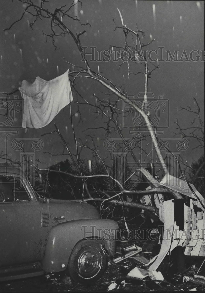 1975 Press Photo Blanket hangs in tree in West Jefferson, Alabama after Tornado - Historic Images