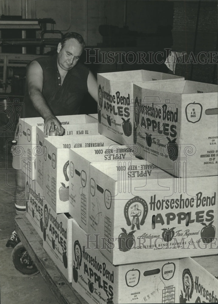 1980, Sam Cawley, Horseshoe Bend Co-op, getting ready to ship apples - Historic Images