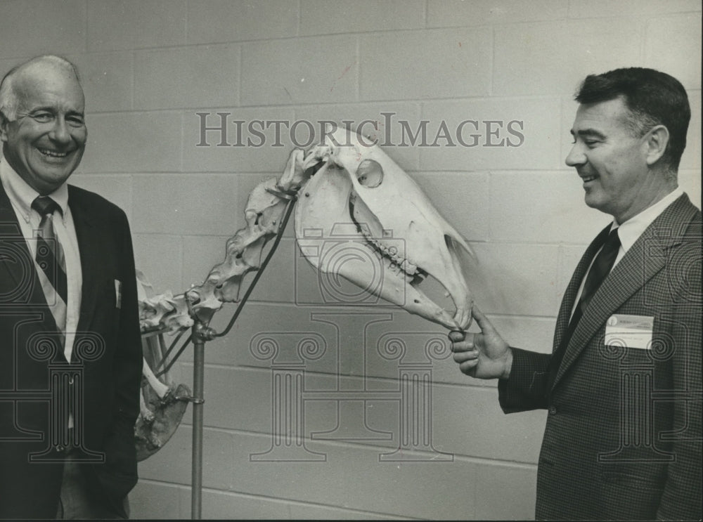 1971 Press Photo Alabama University Vet School officials with Horse Skeleton - Historic Images