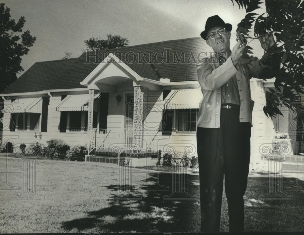 1962, Mr. Gregory gathers pecans in front yard in Marshall County - Historic Images