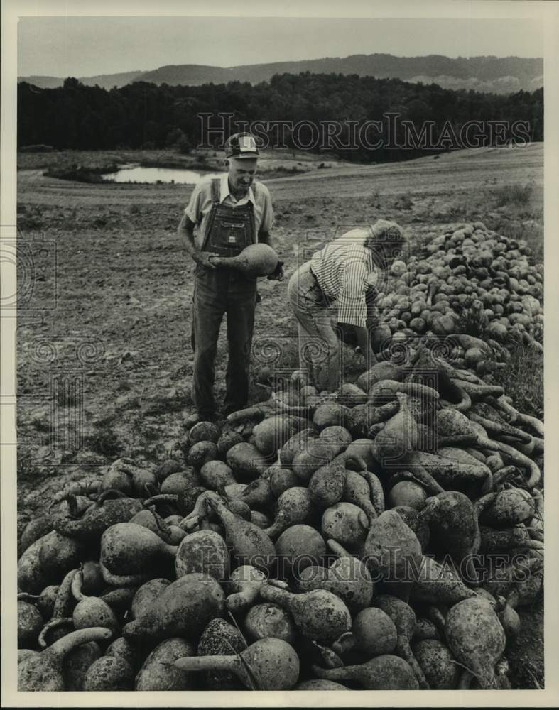 Press Photo James &amp; Ernestine Swann picking gourds in field - abna43238 - Historic Images