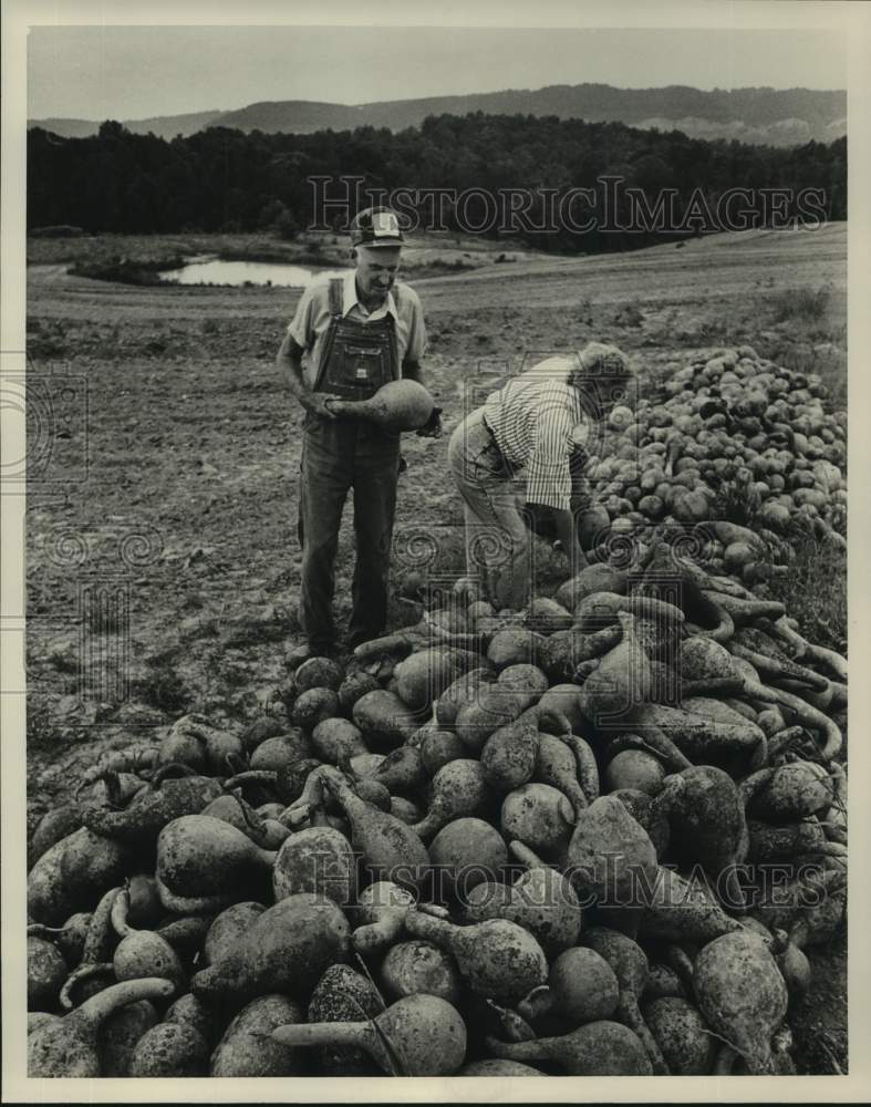 Press Photo James & Ernestine Swann picking gourds in field - abna43238 - Historic Images