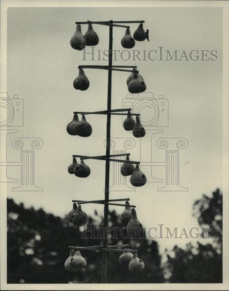 1991 Press Photo Pole with several gourds on it - abna43240 - Historic Images