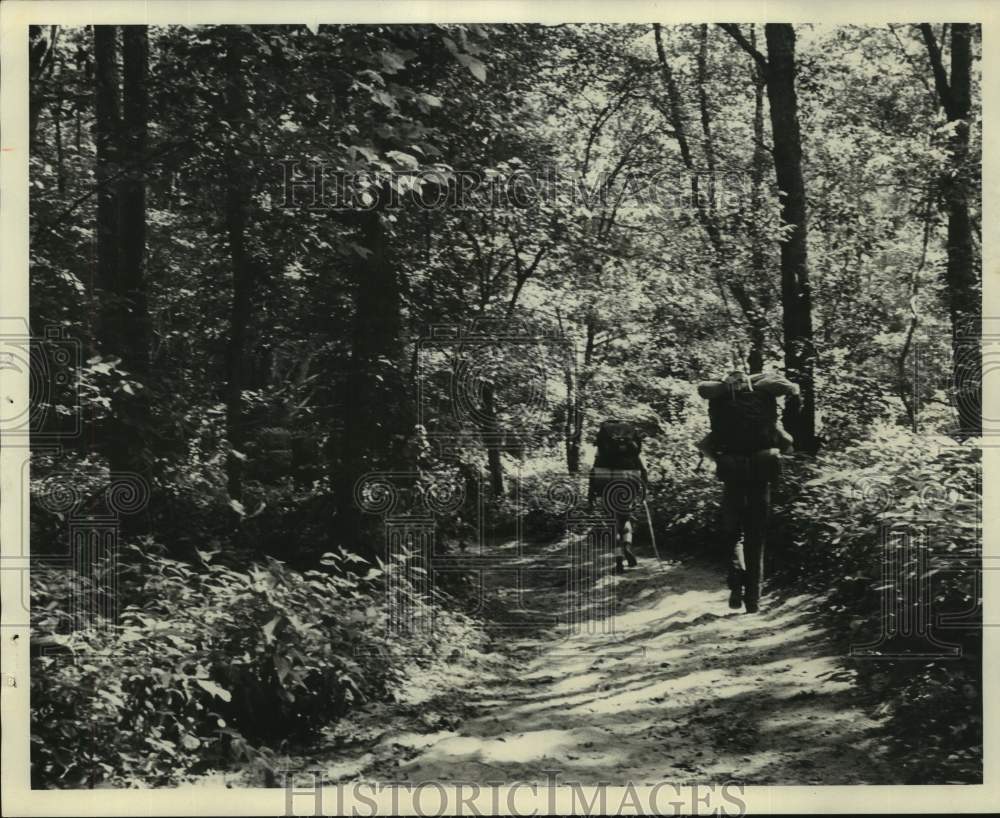 1978 Press Photo Hikers on Wooded Path - abna43376 - Historic Images