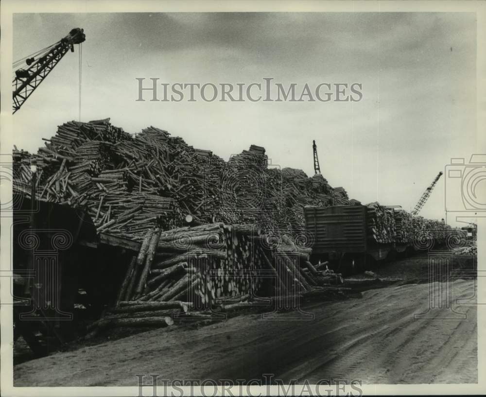 1960 Press Photo Ext. shot of logs, Coosa Pines Alabama - abna43721 - Historic Images