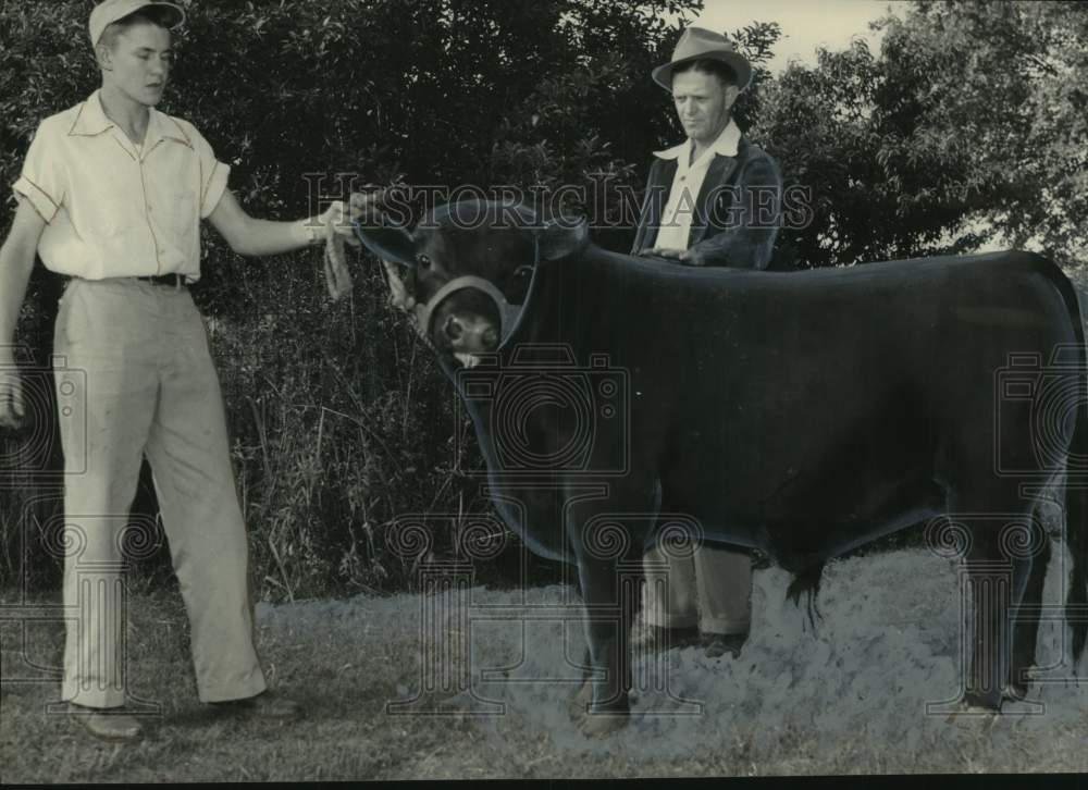 1952 Billy Maples with his Angus bull for his 4-H project in Alamaba - Historic Images