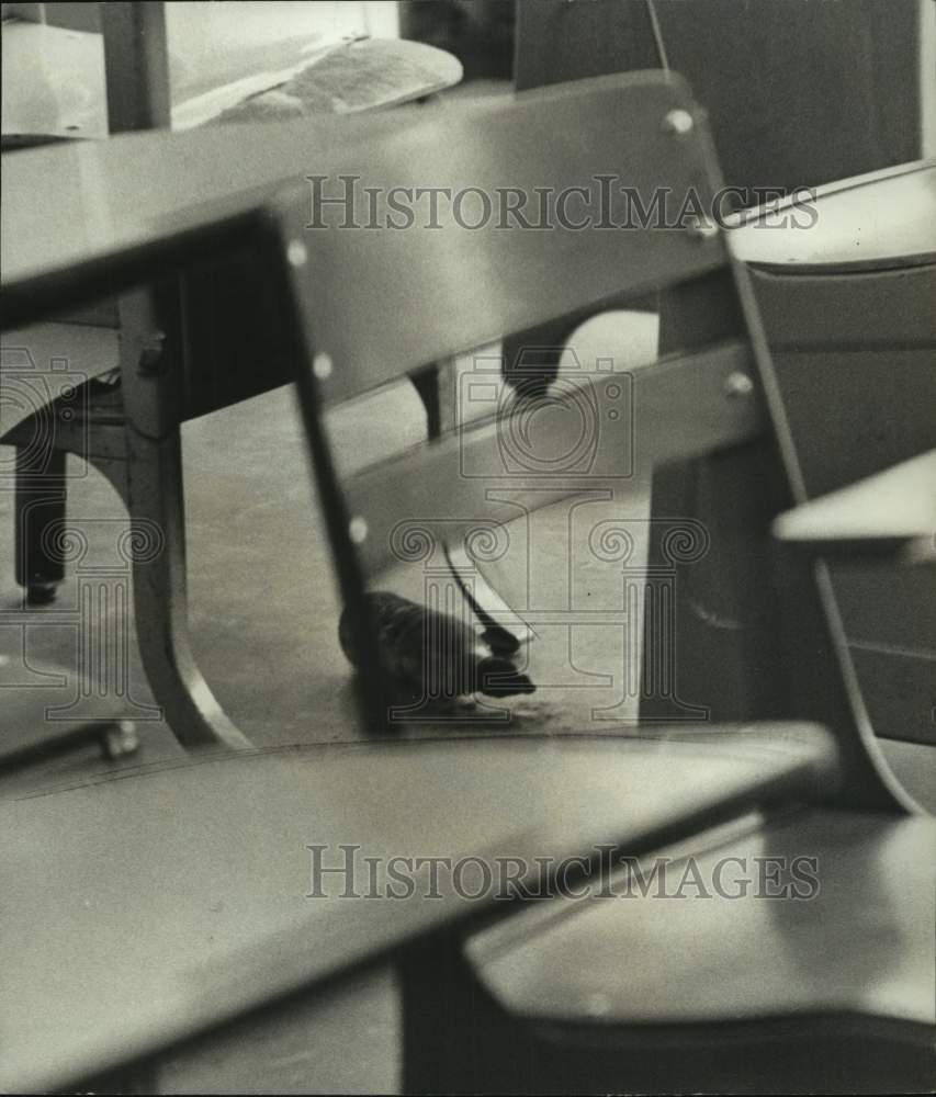 1971 Press Photo Firebomb under Desk at Inglenook School - abna45374 - Historic Images