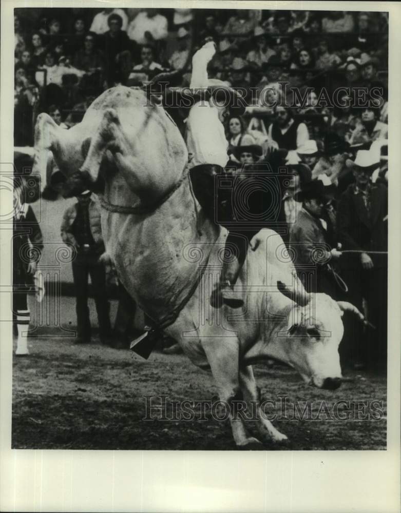 1980 Press Photo Rodeo Bull Riding - abna45985 - Historic Images