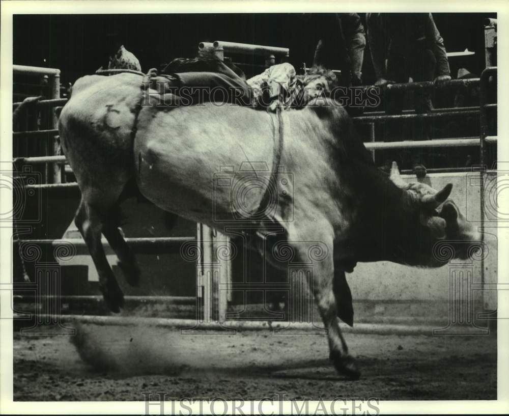 1980 Press Photo Bull Rider Roy Carter from Crockett, Texas, Falling at Rodeo - Historic Images