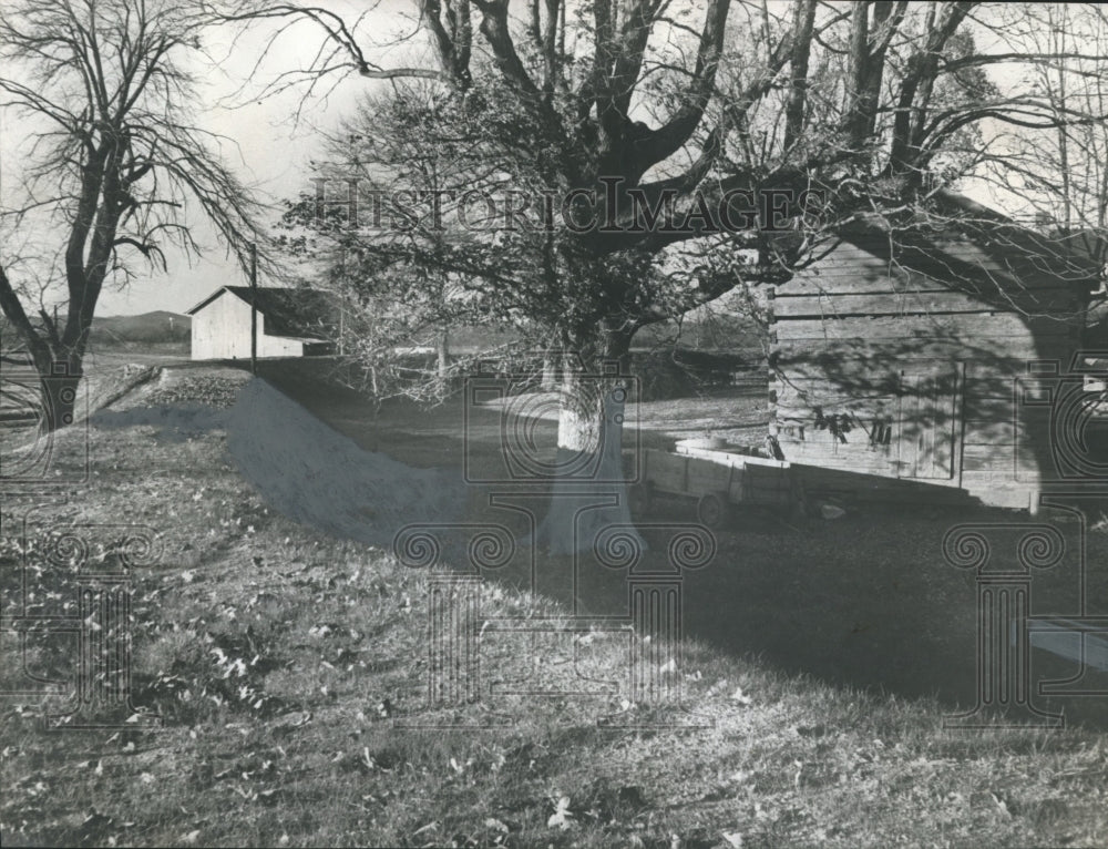 1960, Dutch-type dike guards Cherokee Estate from flood in Alabama - Historic Images